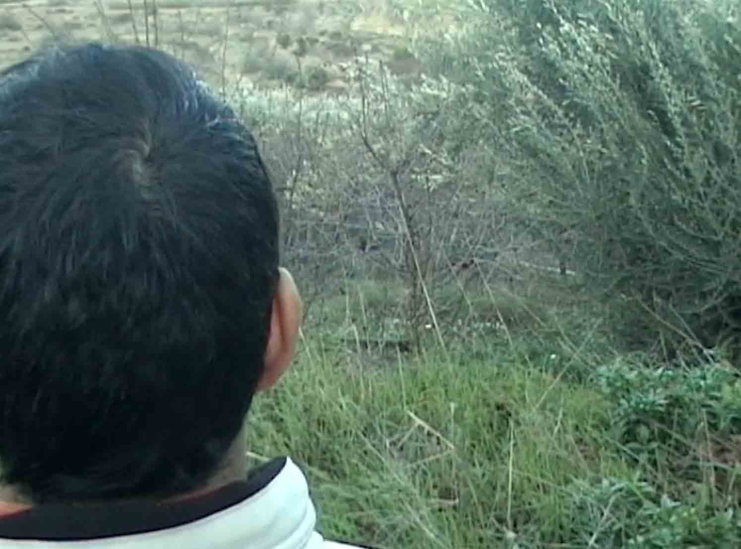 RECUERDOS DEL PELO LARGO